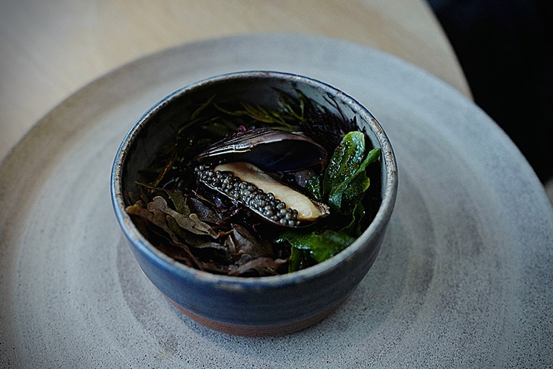 Noma-Blue-Shell-Mussel